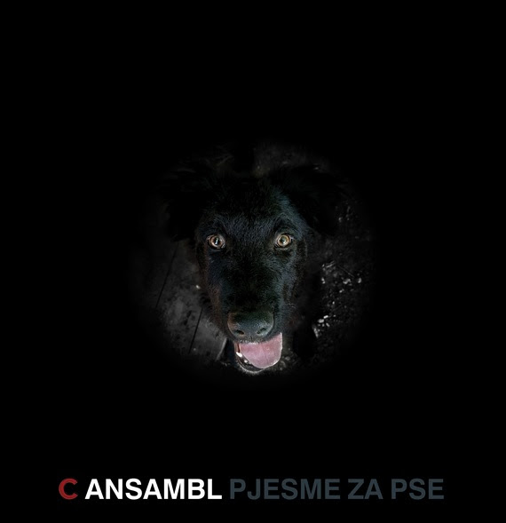 C ansambl predstavlja novi singl i  debitantski album