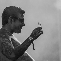 #16. INmusic festival, credit: Zvonimir Bregeš