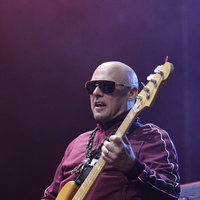 #16. INmusic festival, credit: Zvonimir Bregeš