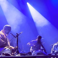 , credit: Predrag Kardum