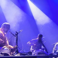 , credit: Predrag Kardum