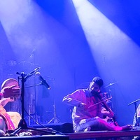 , credit: Predrag Kardum