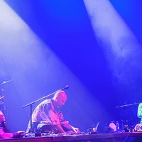 , credit: Predrag Kardum