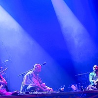 , credit: Predrag Kardum