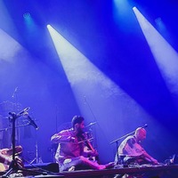 , credit: Predrag Kardum