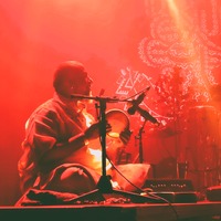 , credit: Predrag Kardum