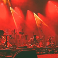 , credit: Predrag Kardum