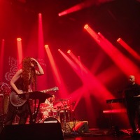 , credit: Predrag Kardum