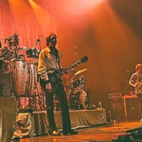 , credit: Predrag Kardum