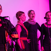 Čipkice, credit: Vedran Papeš