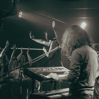 Donkey Hot, credit: Patricija Flikač