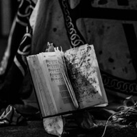 Doodswens, credit: Patricija Flikač