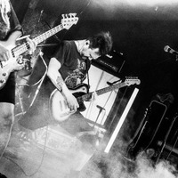 DVNE, credit: Patricija Flikač