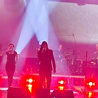 , credit: Predrag Kardum