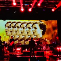 , credit: Predrag Kardum