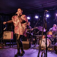 Mangroove , credit: Branko Nađ