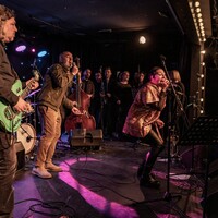 Mangroove , credit: Branko Nađ