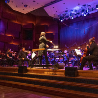 Metaklapa i Zagrebačka filharmonija, credit: Vedran Papeš