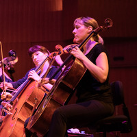 Metaklapa i Zagrebačka filharmonija, credit: Vedran Papeš