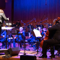 Metaklapa i Zagrebačka filharmonija, credit: Vedran Papeš