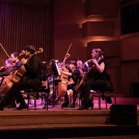 Metaklapa i Zagrebačka filharmonija, credit: Vedran Papeš