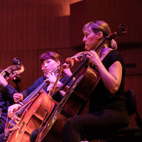 Metaklapa i Zagrebačka filharmonija, credit: Vedran Papeš