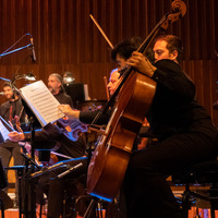 Metaklapa i Zagrebačka filharmonija, credit: Vedran Papeš