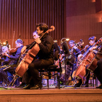 Metaklapa i Zagrebačka filharmonija, credit: Vedran Papeš
