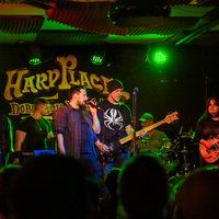 Sage, credit: Sara Katnić