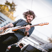 Tigress, credit: Filip Bušić