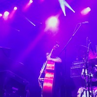 , credit: Predrag Kardum