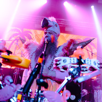 Trollfest, credit: Sara Katnić