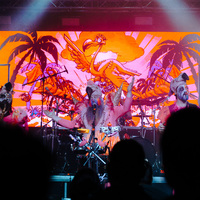 Trollfest, credit: Sara Katnić