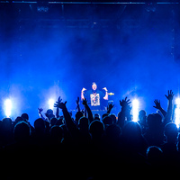 Forrestland Festival 2021., credit: Julien Duval