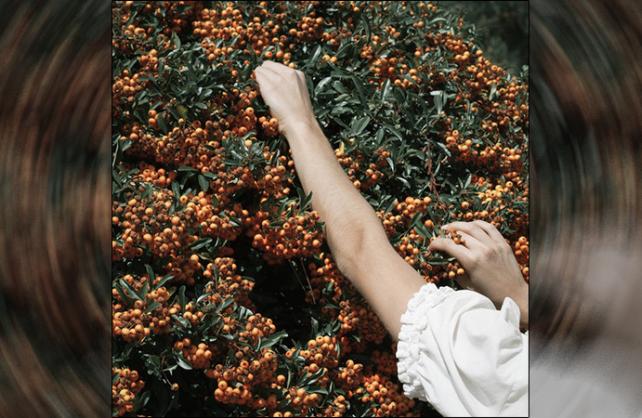 Bandcamp recenzije: Felivand