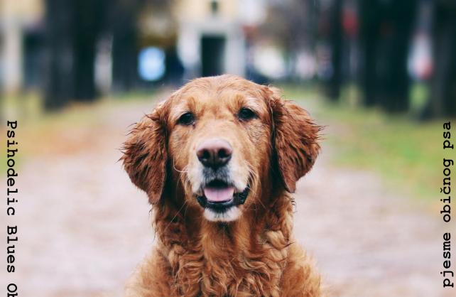 PBO poklanja treći studijski album