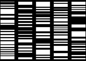 Muzički biennale Zagreb nominiran za prestižnu europsku nagradu!