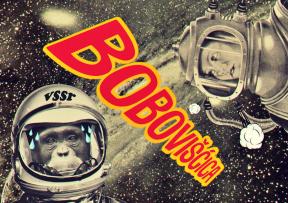 Valentino Bošković čestita Osmi Mars