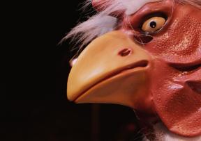 Novi zagrebački bend Como Bluff predstavlja prvi singl Cannibal Snake