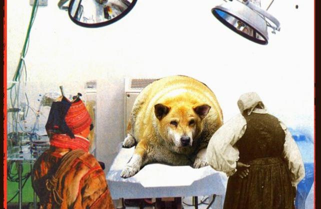 Snooze in Motion ima novi EP